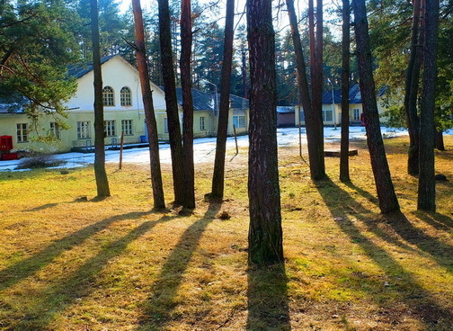 Учет объектов растительного мира (насаждений)